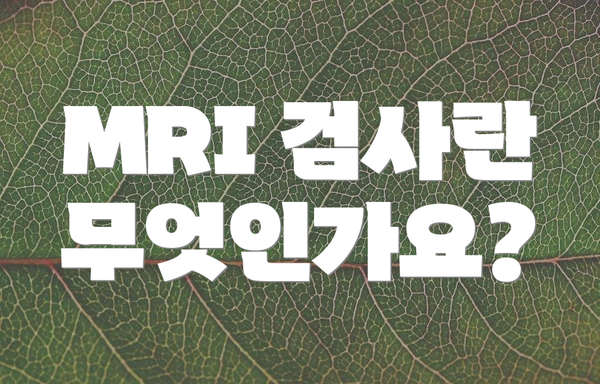 MRI 검사란 무엇인가요?