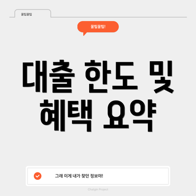 대출 한도 및 혜택 요약