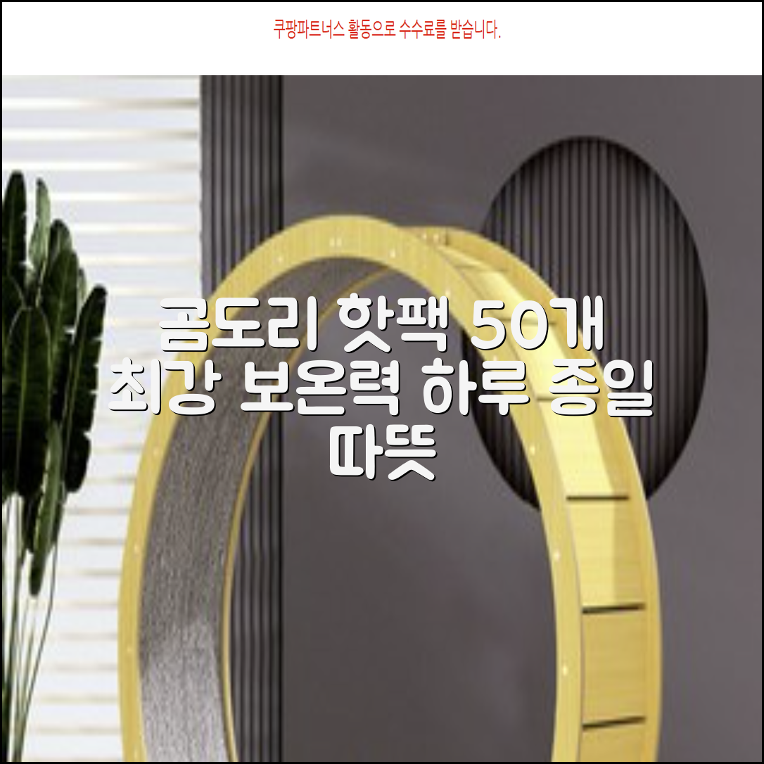곰도리 하루종일 촥~ 붙이는 핫팩 장시간 고급형, 50개 추천 리뷰