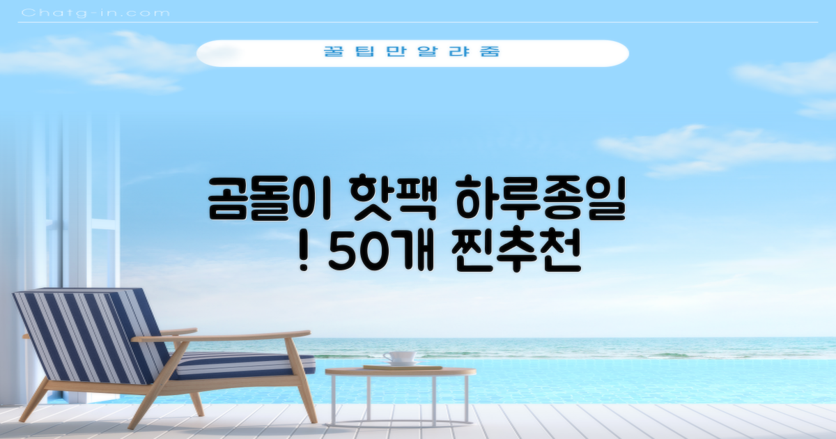 곰도리 하루종일 촥~ 붙이는 핫팩 장시간 고급형, 50개 추천 리뷰
