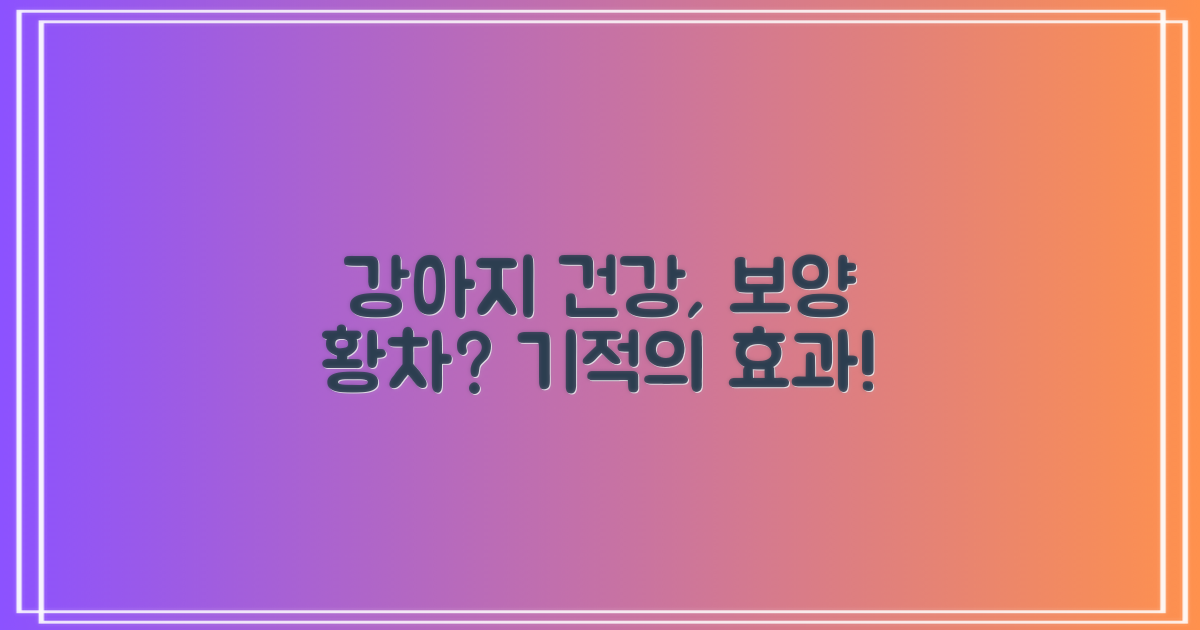 보양황차가 강아지 건강에?
