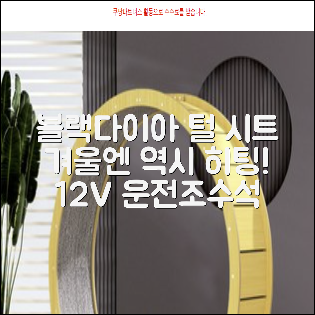 블랙다이아 차량용 열선시트 (1P) 털 겨울 히팅 전기시트, 1개, 12V (운전/조수석) 추천 리뷰