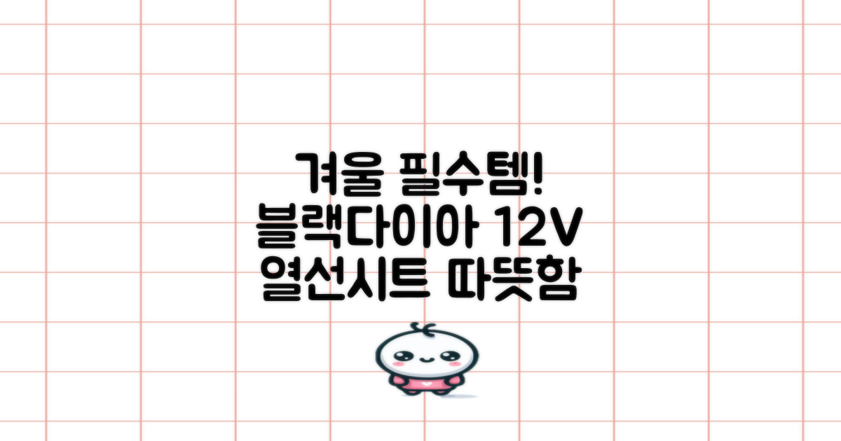블랙다이아 차량용 열선시트 (1P) 털 겨울 히팅 전기시트, 1개, 12V (운전/조수석) 추천 리뷰
