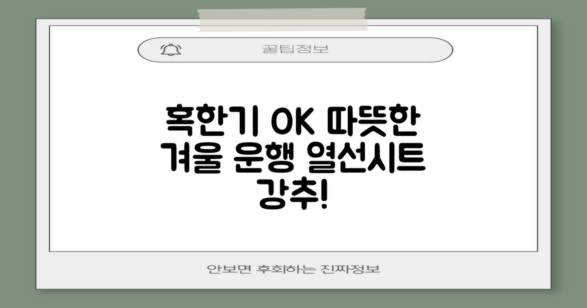 혹한기 차량 운행, 이제 따뜻하게! 블랙다이아 차량용 열선시트 (1P) 털 겨울 히팅 전기시트 12V (운전/조수석) 추천 리뷰