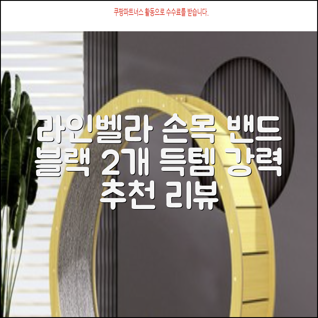 라인벨라 의료용 손목 압박용 밴드 블랙, 2개 추천 리뷰