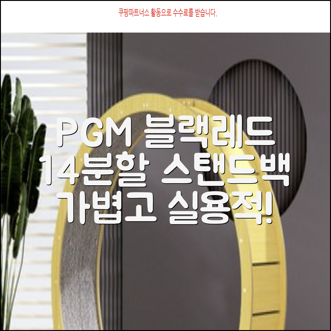 피지엠코리아 PGM 경량 14분할 골프백 스탠드백 캐디백, 블랙레드 추천 리뷰
