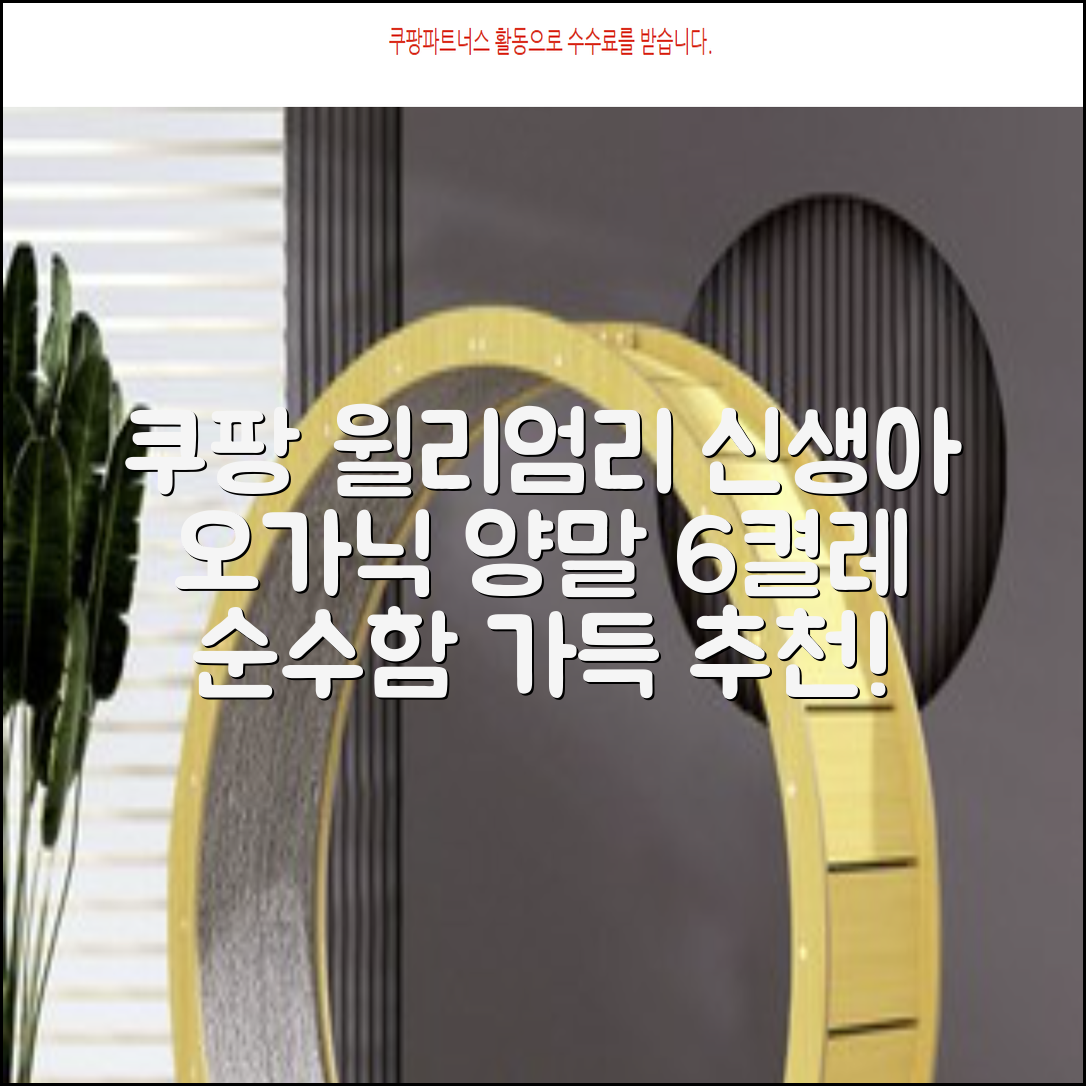 윌리엄리 신생아 오가닉 양말 6켤레 추천 리뷰