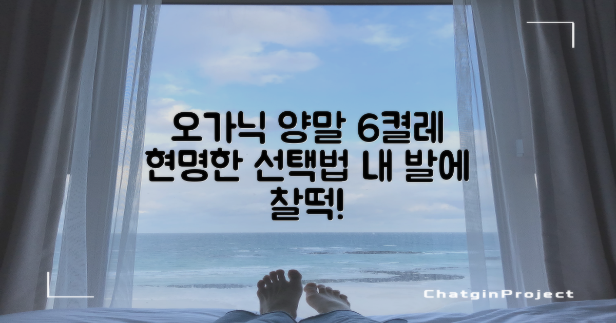 오가닉 양말 6켤레, 똑똑하게 고르세요