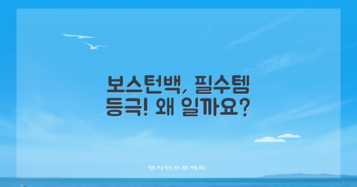 왜 이 보스턴백이 필수일까요?